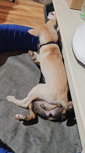 Kulitan time #kulitan | Edwin Filosopo