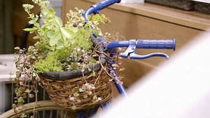 16K views · 1.3K reactions | Who's excited spring is finally here? Here's a simple outdoor #DIY project straight from an episode of Property Brothers: Forever Home! Jonathan Silver Scott shows you how to turn a two-wheel rust bucket into a green outdoor project!  https://bit.ly/3ru5Kmm | Property Brothers | Facebook
