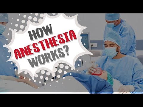 What Happens in Our Brain During Anesthesia? Sedation Simplified!
