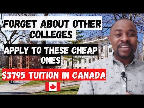 Top 5 CHEAPEST COLLEGES in CANADA for International students | No IELTS Required, Low GPA Accepted