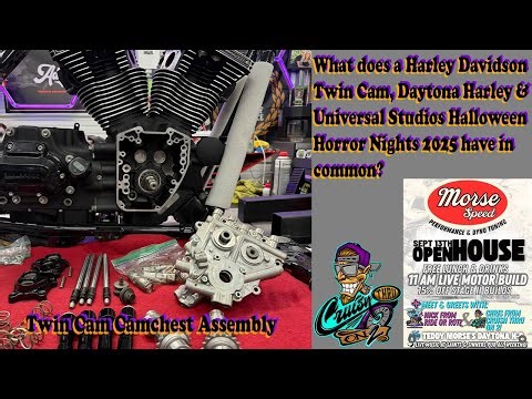 What does a Harley Twin Cam Daytona Harley & Halloween Horror Nights 2025 have in common?