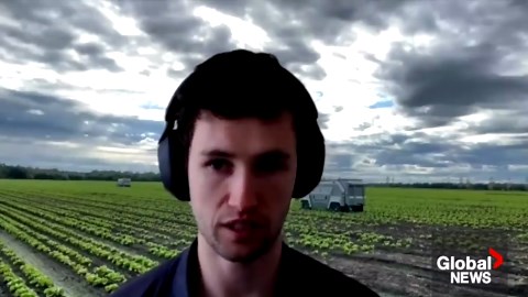 Robotic supply chain: How automation impacts the food you eat