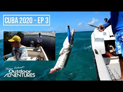CUBA 2020 - Ep. 3 of 3 | Shark Attack + Tarpon at La Redonda | Fishing Guides Cayo Coco & Guillermo