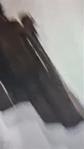 S&W Model 66 #pewpew #pewpewlife in #movie #revolver357 TR