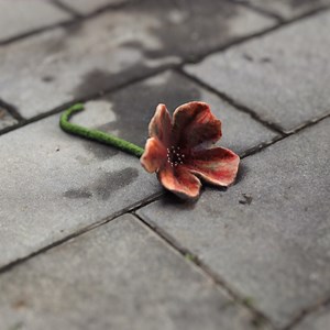 Photogrammetry is coming to Sampler - Anna Natter