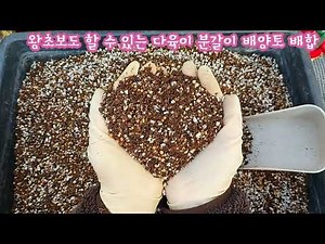 다육이 분갈이할 때 필요한 흙 ( 배양토 ) 만들어요! 왕초보도 할 수있는 다육이 분갈이 배양토 만들기! 참~쉽죠잉~😁