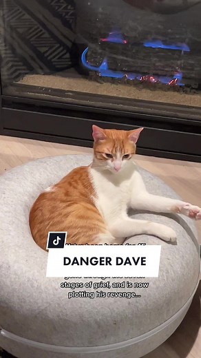 IndoorOutdoorKat on TikTok