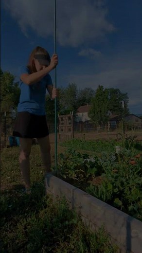 Garden Hack: Easy DIY Cucumber Trellis!🥒 #GardenDIY #CucumberTrellis #SpaceSaving #verticalgarden