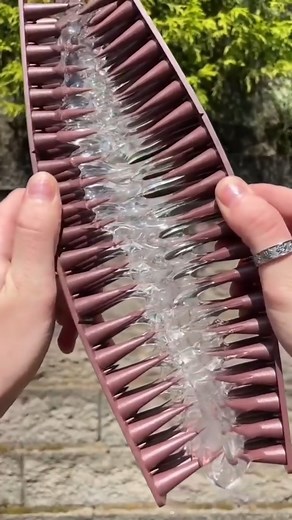 Grow with Hazel on Reels