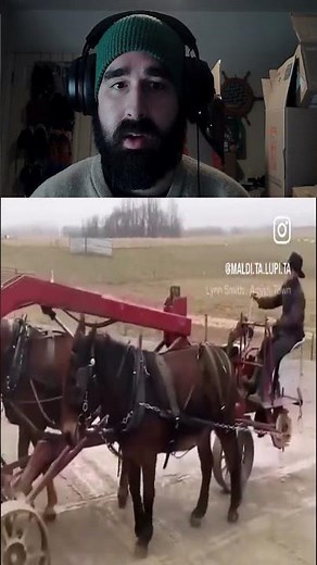 Amish Forklift! Watch this!