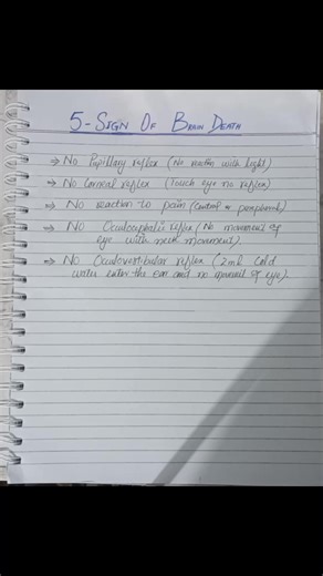 Understanding the Important Signs of Brain Death