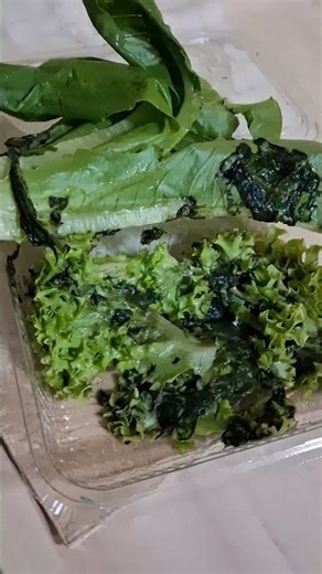 Blinkit reviews: Received rotten lettuce leaves with worms | PissedConsumer.com