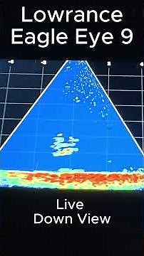 Eagle Eye 9 The Cheapest Live View Sonar ~ Tested on the Ice