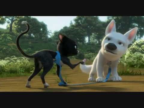 Bolt and mittens vs the styrafoam + begging for food XD