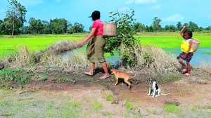 Primitive Life Village - Mother of catches fish and duck - Monkeys and Puppies Eating delicious fish | Galvin Planet