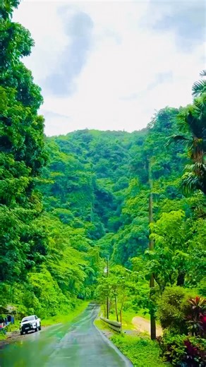 chintu gujjar 08 | 😍👀 follow 🌿 #viral #trending #naturephotography #natureview #trending #explore #naturelovers | Instagram