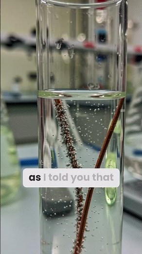 Copper Wire + Silver Nitrate Reaction 🔥 | Amazing Chemistry Experiment #shortsyoutube