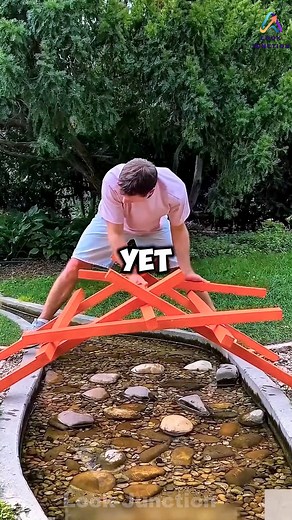 3.9K views · 16 reactions |  Why Dirt Bikes Are Illegal on the Road ️ #shortsvideo #trending #facts | Look Junction | Facebook