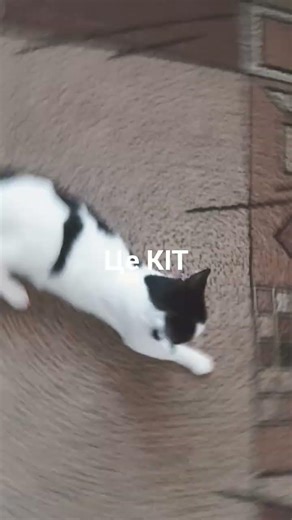 20 березня 2026 р.