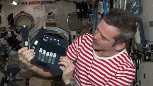 The ISS: Experiments