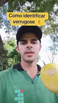 How to identify verrugosity in passion fruit #passionfruit #verrugosity #agro #agronomy #shorts #...