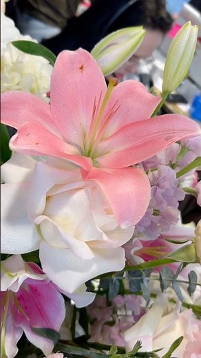 Welcome to Ottawa Flowers Inc. #ottawa #florist #flowers #bouquet #ytshorts #fyp #beautiful