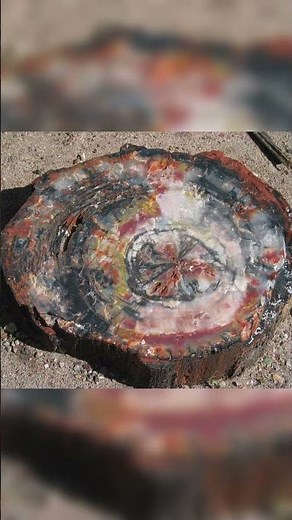 La France en 1950 #fyp #apprendresurtiktok #science