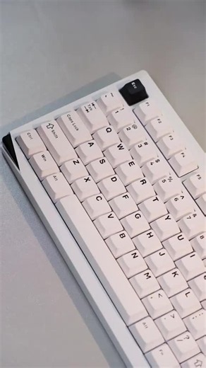 Akko Gem 02 Black on White Keyboard: Stellar Rose Switches