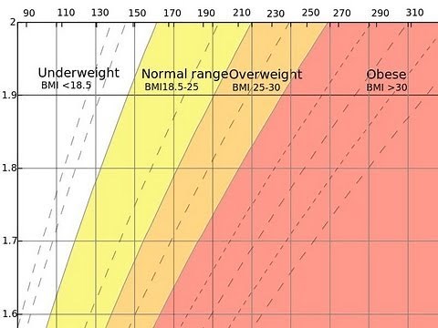 What Is BMI?