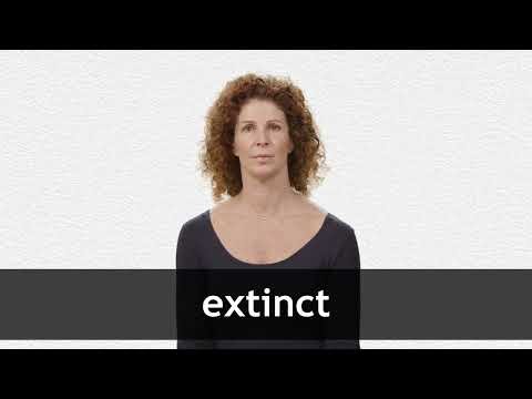 How to pronounce EXTINCT in American English