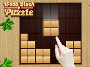 Walkthrough Wood Block Puzzle . BrightestGames.com