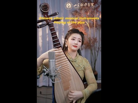 Pipa Unleashed: Blending Ancient Chinese Melodies with Modern Global Sounds#chinesemusic #sleepmusic