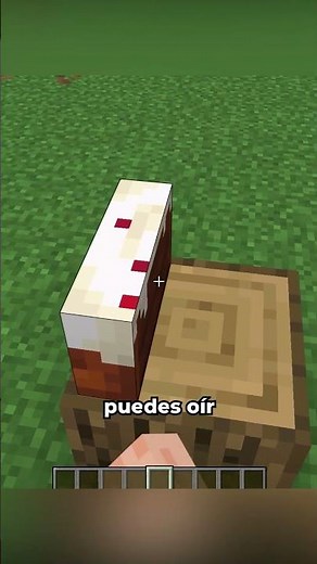 Differences between Minecraft Java vs Bedrock