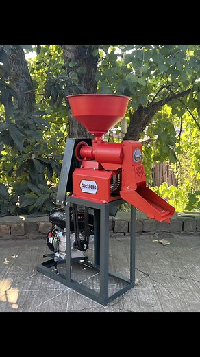 9.6K views · 98 reactions | Mini Rice Mill Machine on Reels | Facebook