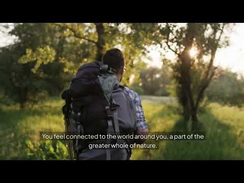 5-Minute Nature Visualization Meditation | Relaxing Forest Scenery for Calm & Peace