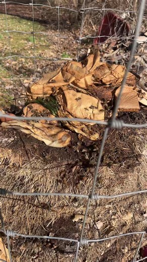 I’mnotanumber (@imnotanumber)’s videos with original sound - I’mnotanumber