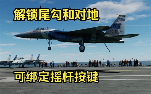DCS~F15C解锁尾钩和对地模式教程