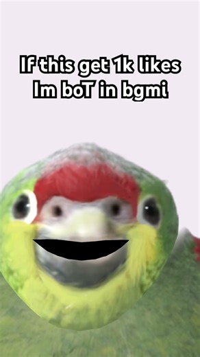 Pls don’t like it🫪#funny #fyp #bgmishorts #challenge #pubgmobile #bgmimoments #challengechallenge