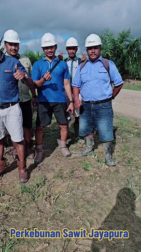 Panen Perdana di CECT RJWE, Papua: Kegiatan Berhasil