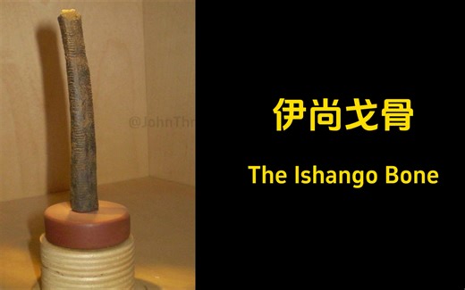 1.2 人类最早的计数方式