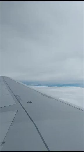 ScORPio 🦂 (@m4rong)’s videos with Percuma - Glen Sebastian