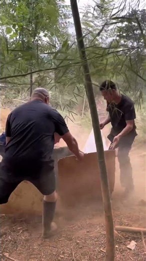 Angry Boar Caught in a Cage Trap! 😡🐗 | Wild Boar Farming Tips & Safety Guide