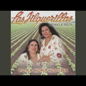 Para Que Me Echaste Al Mundo