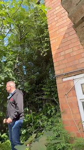 We have decided to call this Fig Tree House | Rick Gannon