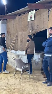 12K views · 351 reactions | نیا سال نئے انداز میں ۔۔ TANZEELS  WAIT FOR THE COMEBACK TRAILER OF SEASON 2026  | Cattles With Rizvi | Facebook