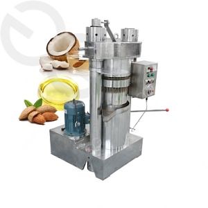 Hot Sale 100 Kg/H Macadamia Nut Oil Extraction Machine Walnut Oil Press Machine