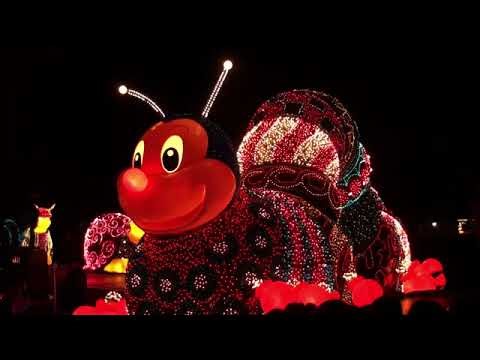 Tokyo Disneyland Electrical Parade DreamLights Music Loop (Wonderland Inchworm Holiday) [10 Minutes]