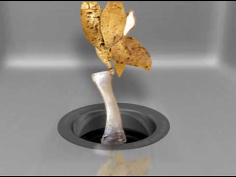 InSinkErator Evolution Cover Control Batch Feed Garbage Disposal