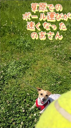 スピードup!