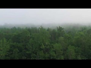 Musique Relaxante pour Travailler : Concentration et Sérénité au Quotidien